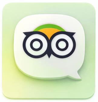 TripAdvisor Reviews Card